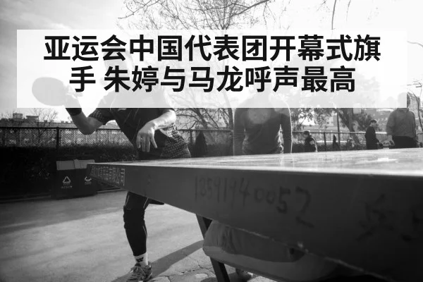 Ma Long table tennis